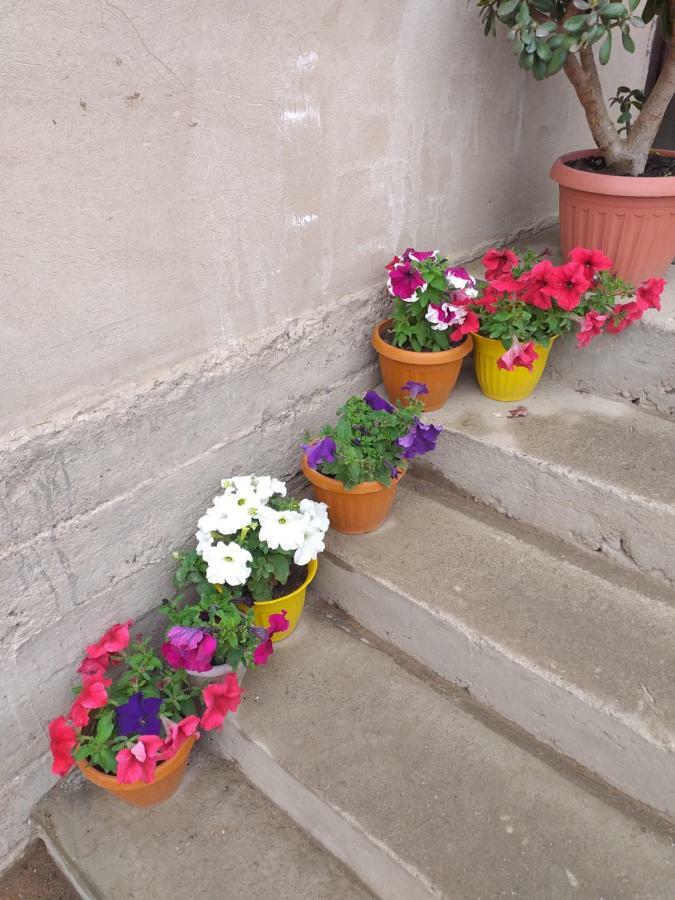 Bed and Breakfast EcoUlan Kochkor Exterior foto